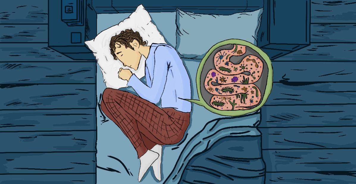Dormir bien empieza en el intestino: la microbiota intestinal y el sueño